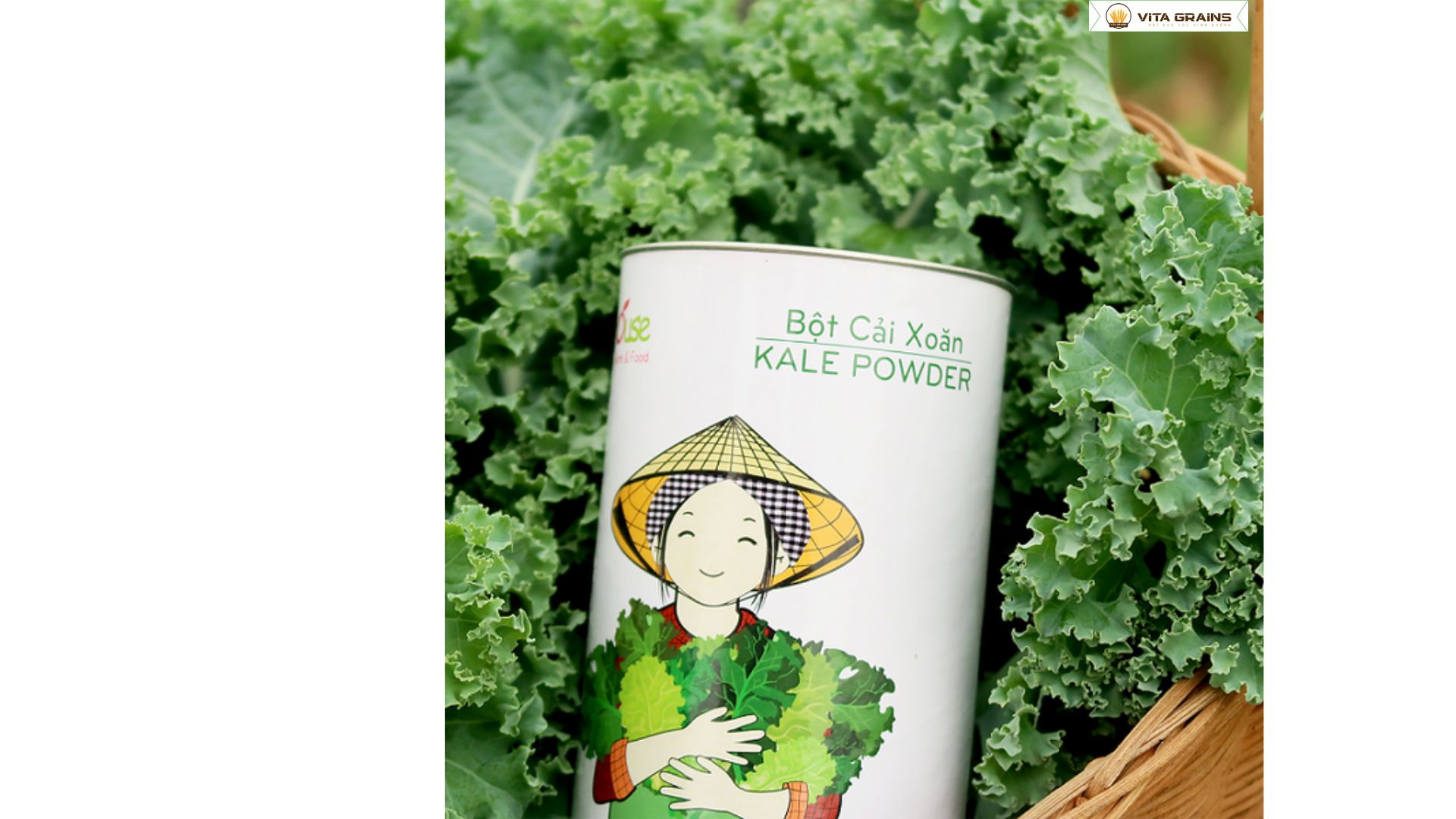 Bột Cải Xoăn Dalahouse 120g