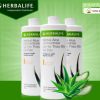 Aloe Herbalife